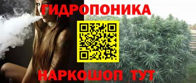 скорость Кингисепп
