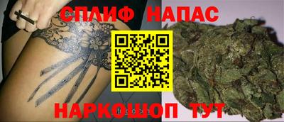скорость Кингисепп