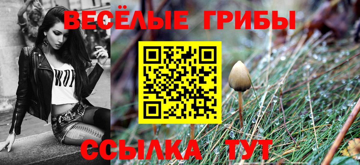 Краснодар  Псилоцибиновые грибы ЛСД  Псилоцибиновые грибы мицелий  Вход с VPN 