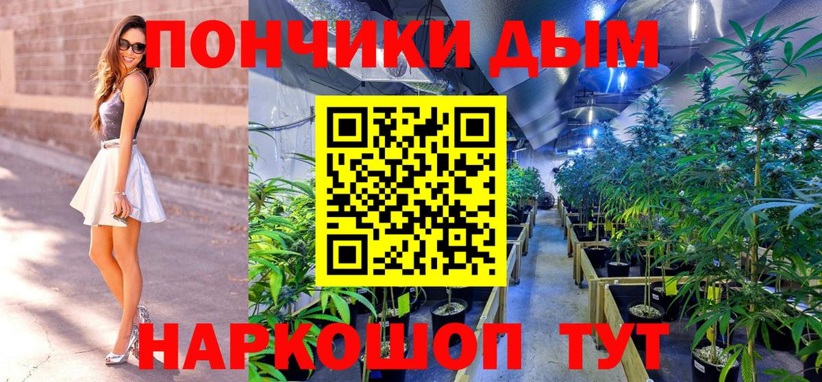Бошки Шишки конопля  Конопля SATIVA & INDICA  МАРИХУАНА сатива  Краснодар  Вход с VPN 